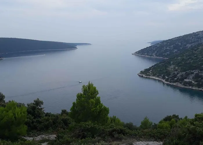 Holiday home In - Istrien 42505 *