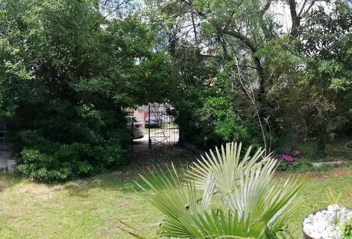 Holiday home In - Istrien 42505