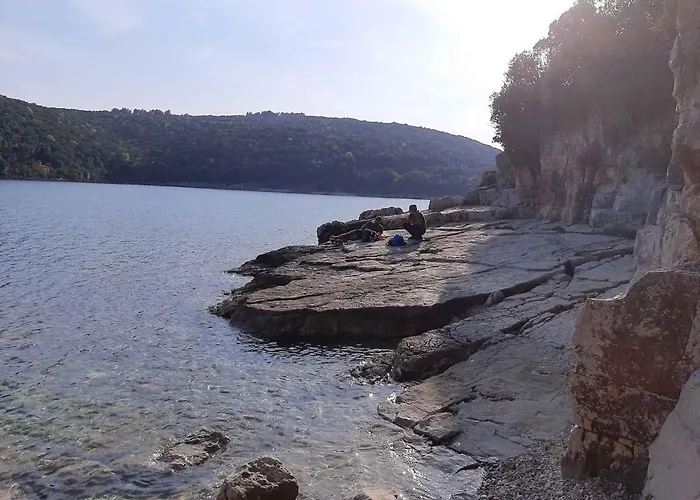 In - Istrien 42505 Holiday home *