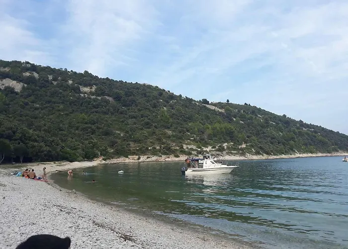 Holiday home In - Istrien 42505 *